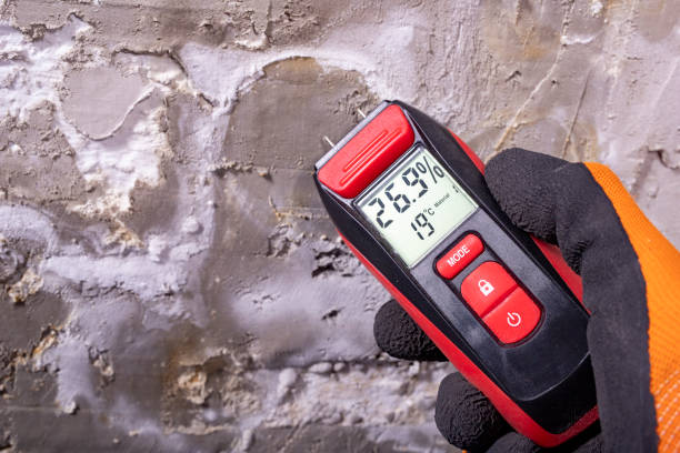 Best Residential Mold Remediation in Memphis, TX