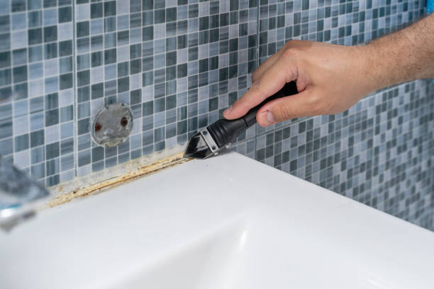 Best Mold Remediation for Specific Building Types in Memphis, TX
