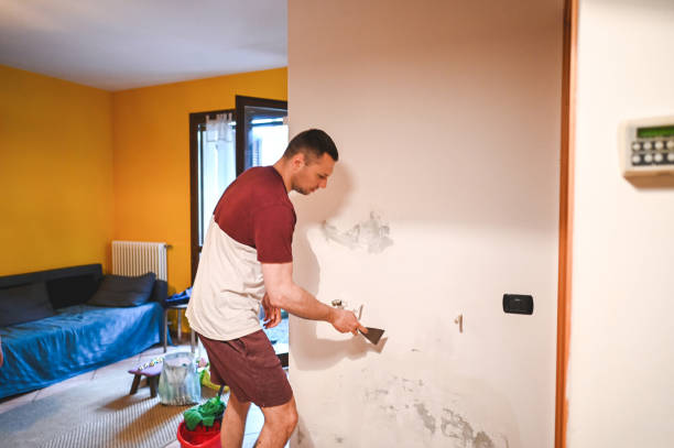 Best Post-Flood Mold Remediation in Memphis, TX